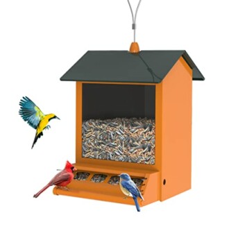 Digipettor Squirrel Proof Bird Feeders - A Complete Review